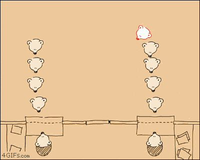 1.gif
