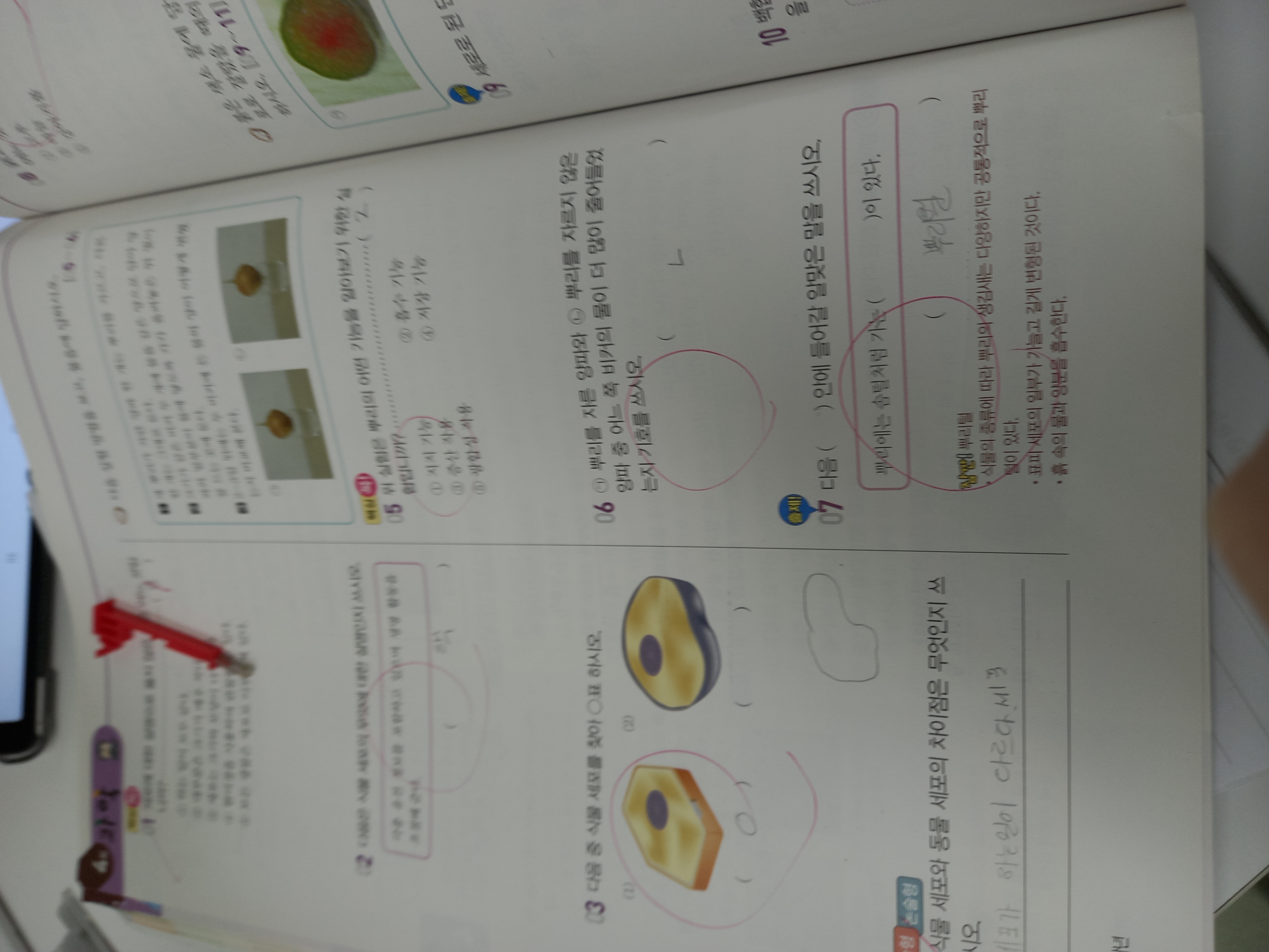 20230207_151051.jpg