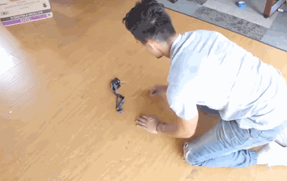 1.gif