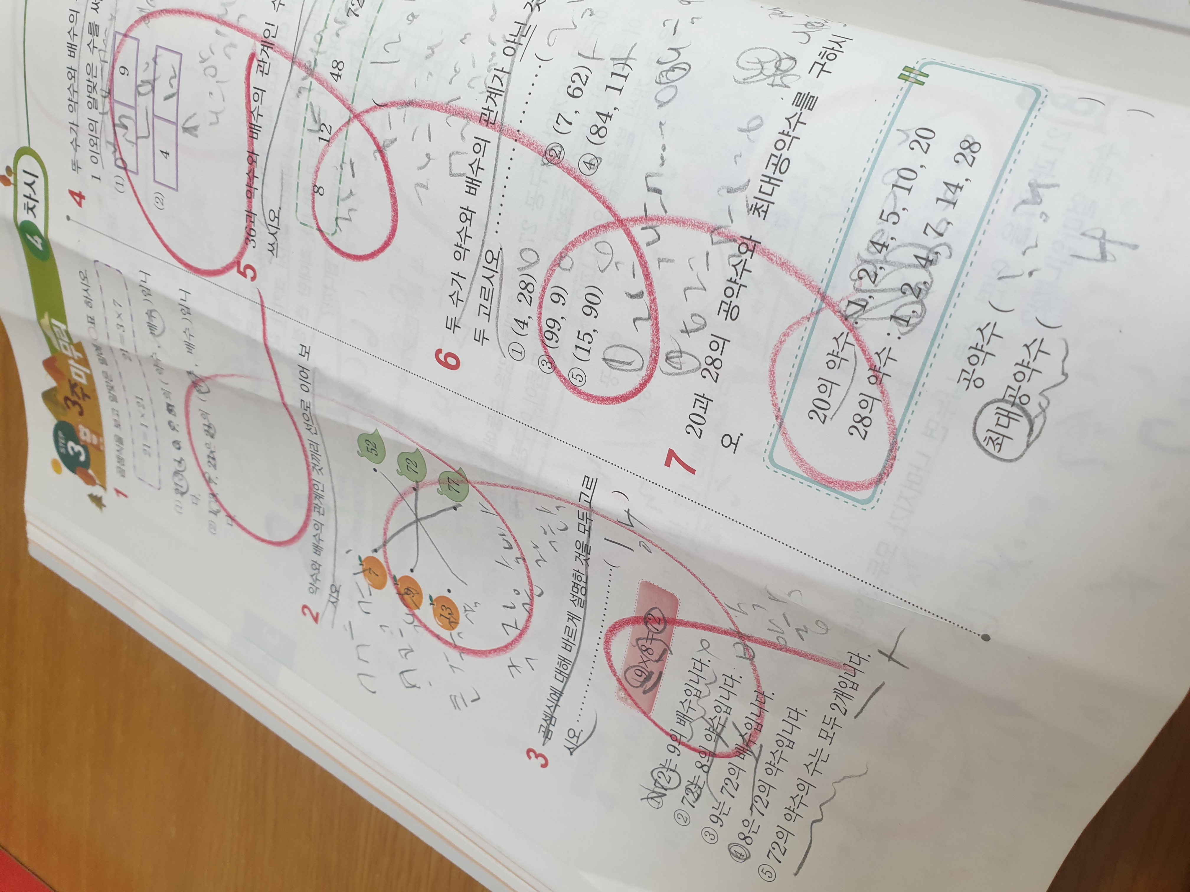 1680069482480.jpg