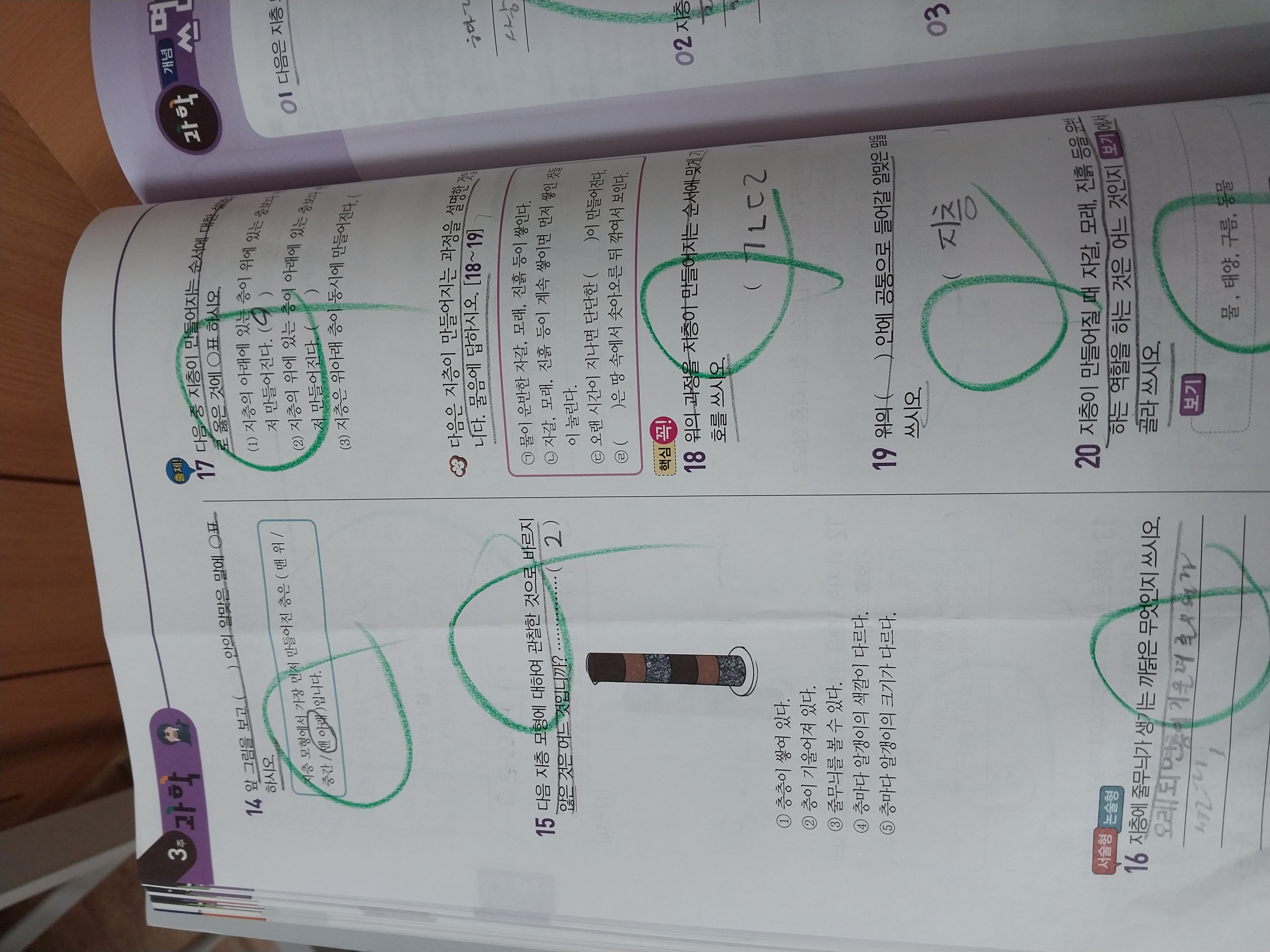 1680155488675.jpg