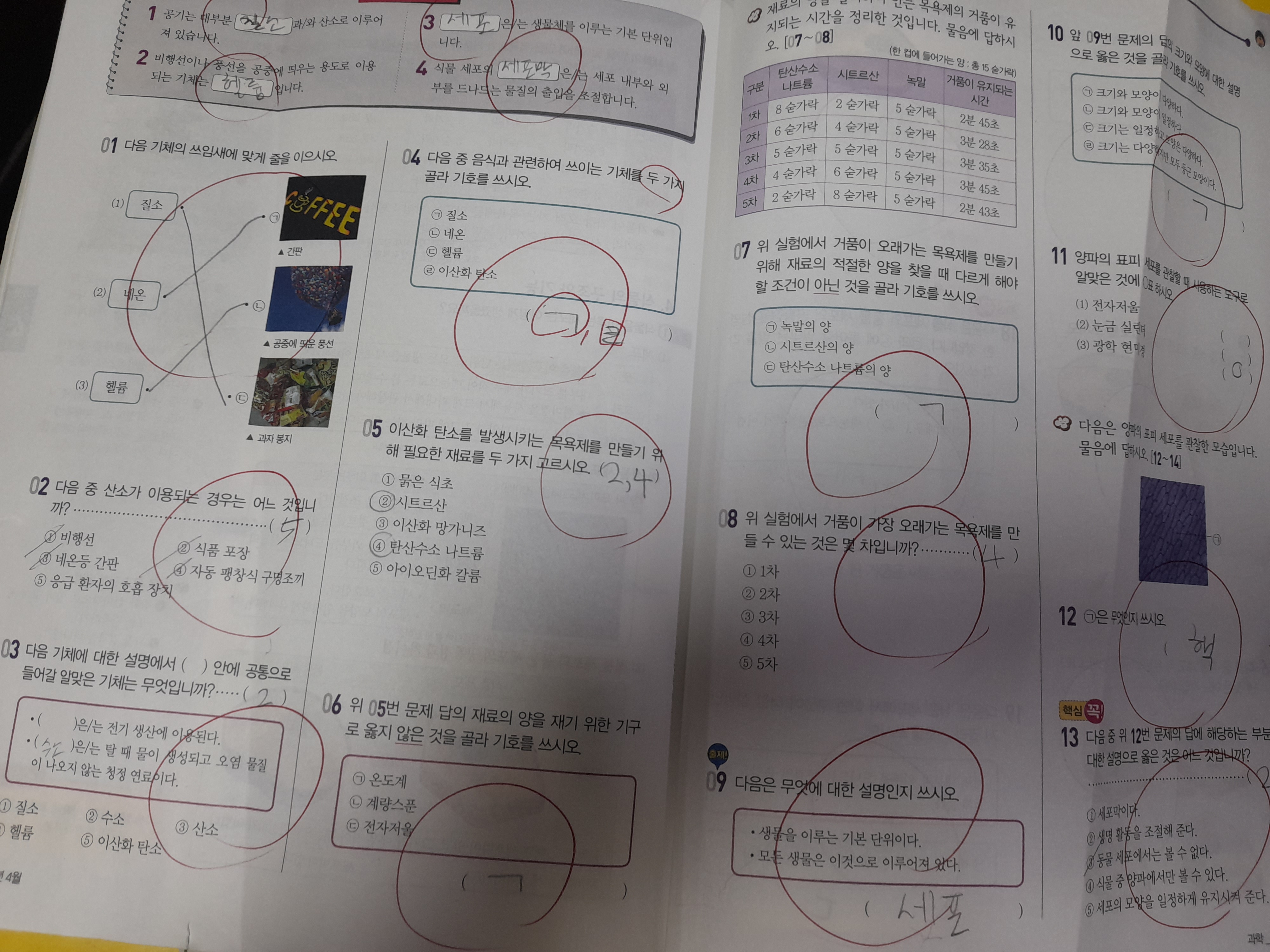 20230418_165030.jpg
