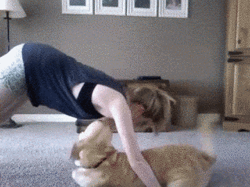 1.gif
