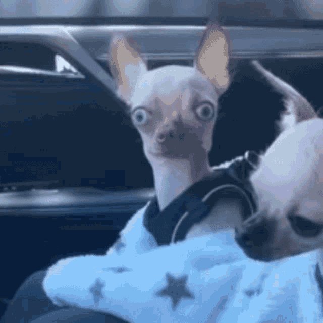 ㅋㅋㅋㅋ_표정_와_그러.gif