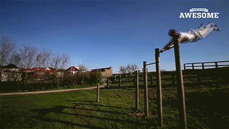 1.gif