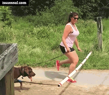 반려견과_주인의_반사신경_차이.gif