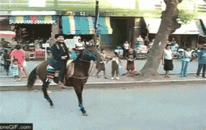 오늘은_일하기_싫다_그러니_내려_인간아.gif
