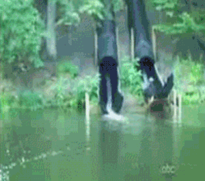슈우우우_철퍼턱.gif