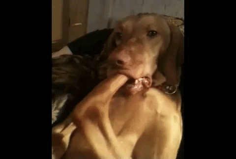 GkjI.gif