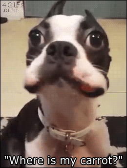 YHQv.gif