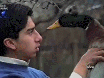 Oj9M.gif