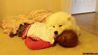 댕댕이가_주인을_좋아하면.gif