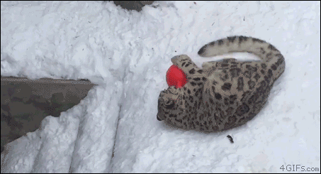 뭐하는거니_ㅋㅋ.gif