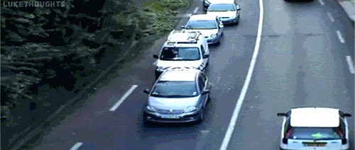 찻길에_출연한_달팽이_2.gif
