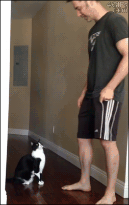 안아주라~~_집사야~~.gif