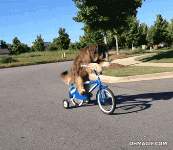 6al.gif