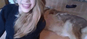 DDMq.gif
