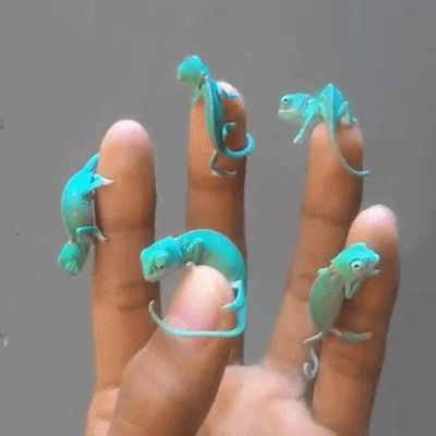 아기_카멜레온.gif