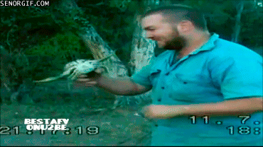 감히_날잡아.gif