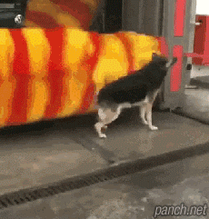 어우야~~_시원하구만~~.gif